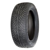 Автомобильная шина PETLAS GLACIER W661 205/55 R16 91T