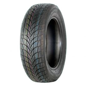 Автомобільна шина PREMIORRI VIAMAGGIORE 165/70 R14 81T