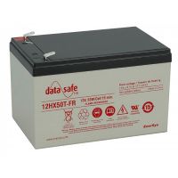 Аккумулятор тяговый DataSafe AGM 13Ah 53Вт 12V под клемму-коннектор 12HX50 
