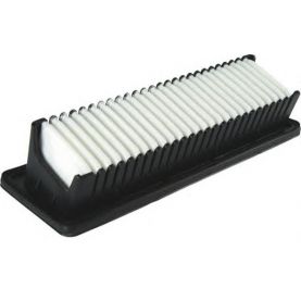 Воздушный фильтр WIX-Filtron WA9750