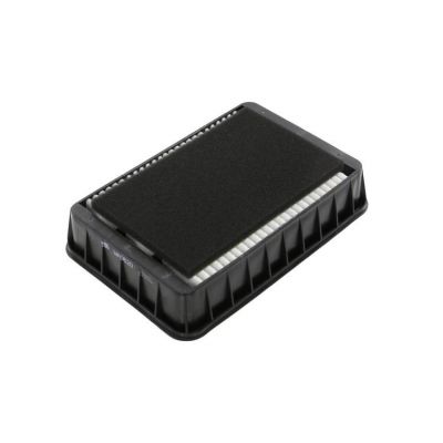 Воздушный фильтр WIX-Filtron WA9620